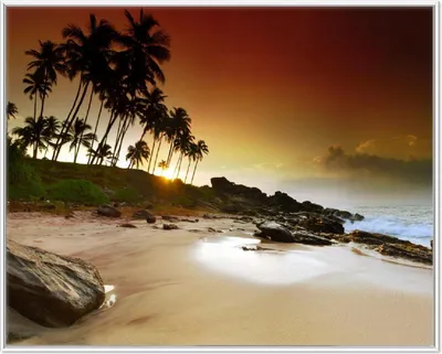 Produktbild von Wallario Wandbild Sri Lanka - Palmenstrand mit Sonnenuntergang, Größe: 40,30 x 50,30 cm, Poster mit weißem Aluminiumrahmen