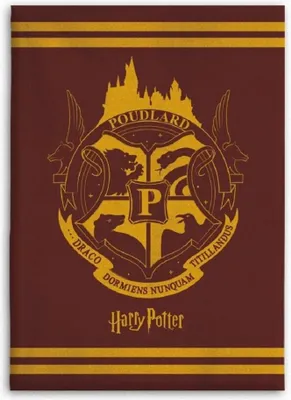 Zdjęcie produktu dla Koc Harry Potter - Koc 130x160 cm do pokoju dziecięcego i nie tylko