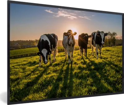 Produktbild von MuchoWow® Gerahmtes Poster Kühe - Sonne - Gras - Tiere - Bauernhof 90x60 cm - Poster mit Schwarzem Bilderrahmen Wandposter Rahmen Foto Bilder - Fotorahmen - Foto-Plakat