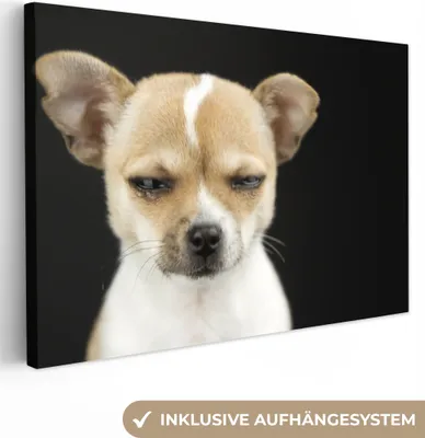 Zdjęcie produktu dla OneMillionCanvasses® - Wydruki na płótnie - 140x90 cm, Pies - Zwierzęta - Portret, dekoracja ścienna z grafiką ścienną