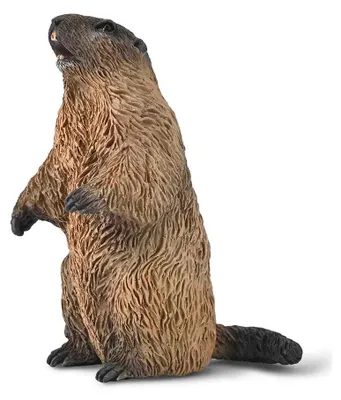 Immagine prodotto di Collecta 80044 Murmeltier 5,5 cm Wildtiere