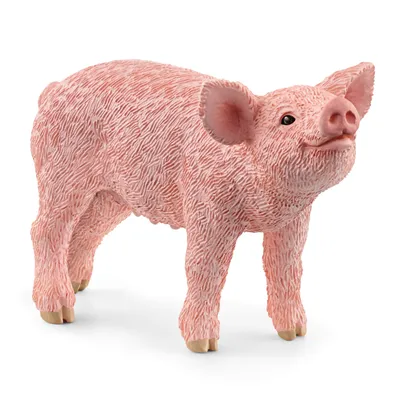 Immagine prodotto di Schleich Farm World     13934 Ferkel