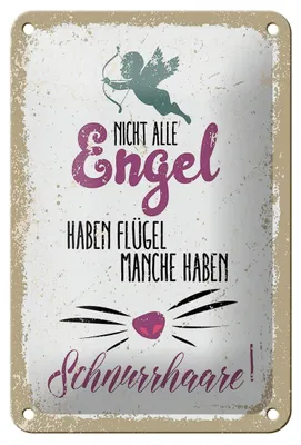 Produktbild von Blechschild Spruch Nicht alles Engel haben Flügel 12x18cm Schild