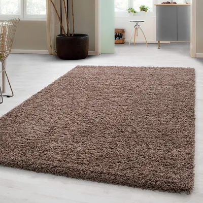 A shaggy rug is placed on a light-colored floor in a room with furniture and plants in the background.