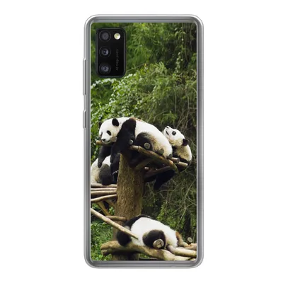 Produktbild von MuchoWow® Handyhülle Schutzhülle Hülle für Samsung Galaxy A41 Pandas - Holz - Treppe Silikon Softcase Handy Hülle - Mobiltelefon