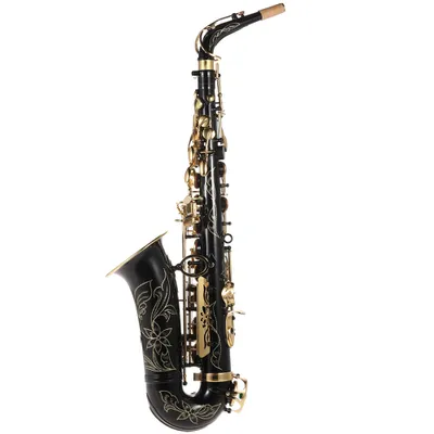 Produktbild von ammoon Eb Altsaxophon Messing lackiert Gold, Es-Saxophon 82Z Tonart, Holzblasinstrument