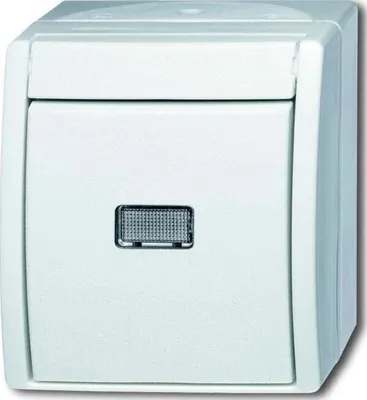 Produktbild von BJ APWG ocean Taster mit 2621W-54-206 Kalotte Wechsler alpinweiss