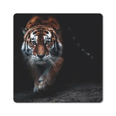 Produktbild von MuchoWow® Mauspad Mousepad Tiere - Tiger - Schwarz - Wild - Porträt 20x20 cm - Mousepads - Maus Mat - Pad - Mausunterlage - Desk Mat - Bureauartikeln