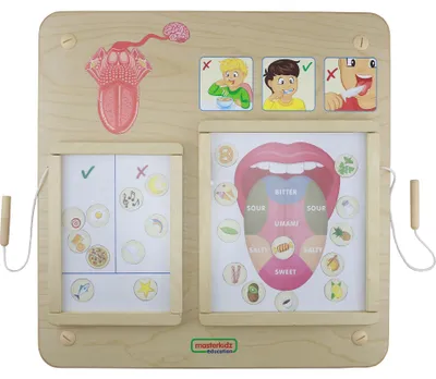 Produktbild von MASTERKIDZ Montessori-Lerntafel zum Geschmackssinn