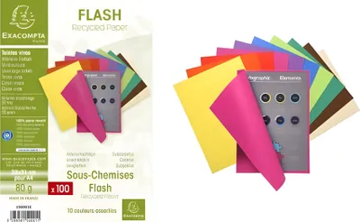 Image de EXACOMPTA 150001E EXACOMPTA Couverture de dossier FLASH 80, DIN A4, carton, assorti