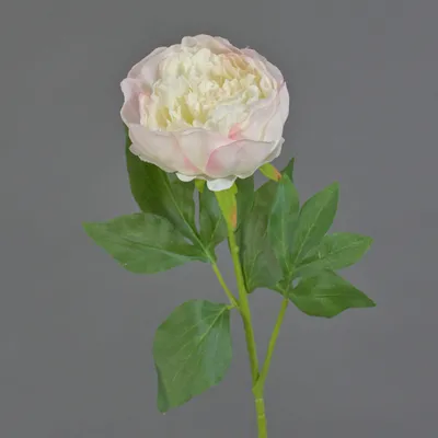 Produktbild von artplants.de Künstliche Pfingstrose SEDFY, rosa, 60cm - Kunstblume Pfingstrose