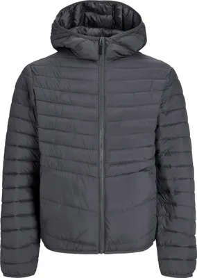 Productafbeelding van Jack & Jones 12256983_2042.62, maat L, lange mouwen, 1 stuk