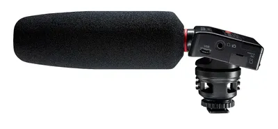 Zdjęcie produktu dla Tascam DR-10SG B-Stock