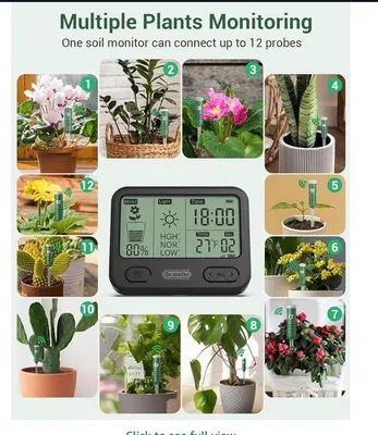 Produktbild von Pflanzenfeuchtemesser - 4-in-1 Hygrometer mit LCD-Display