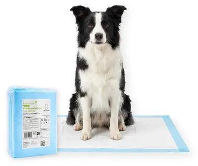 Produktbild von Medi-Inn Welpenunterlagen 60x90cm, 25 STK (1×25), Trainingspads für Hunde