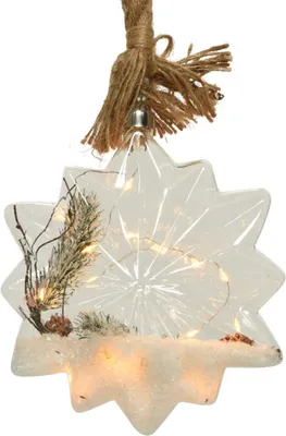Produktbild von Lumineo Micro LED Stern indoor transparent 25 cm