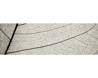 Produktbild von mySPOTTI Badrückwand aqua Struktur 140x45 cm
