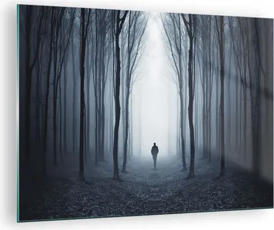 Produktbild von Bilder auf glas - Einteilig - Charakter Wald Einsamkeit - 70x50cm - Glasbilder - Wandbilder - Bilder - zum Aufhängen bereit - Wanddekoration aus Glas - Glas Bilder - Wandbild auf Glas - GAA70x50-4142