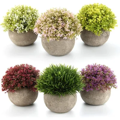 Produktbild von Künstliche Sukkulenten im Topf, lebensecht, bunt, 6er-Set, 12,5 cm
