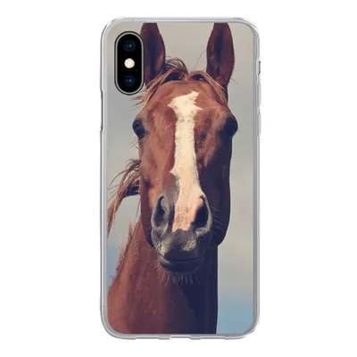 Produktbild von MuchoWow® Handyhülle Schutzhülle Hülle für iPhone X Pferd - Luft - Blau Silikon Softcase Handy Hülle - Handyhülle