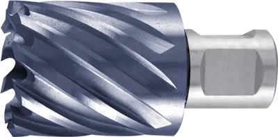 Produktbild von Ruko Kernbohrer Durchmesser 13mm HSS-TiAlN Länge 30mm Weldon - 108213F