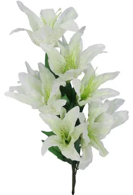 Image de Un bouquet de 10 lys blancs