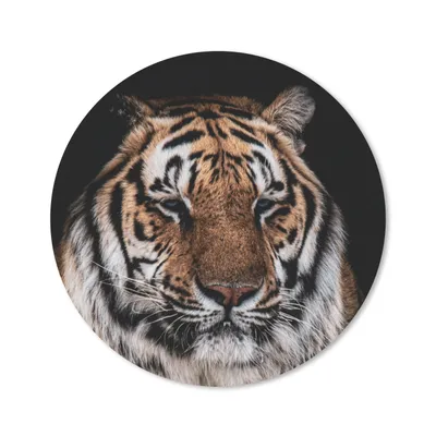 Produktbild von MuchoWow® Mauspad Mousepad Tiger - Tiere - Orange 40x40 cm - Mousepads - Maus Mat - Pad - Mausunterlage - Schreibtisch Accessoires