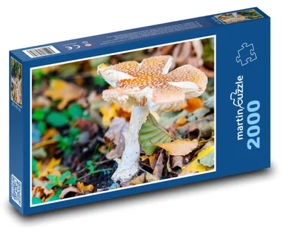 Obrázok produktu pre martinpuzzle - Puzzle 2000 - Muškovka