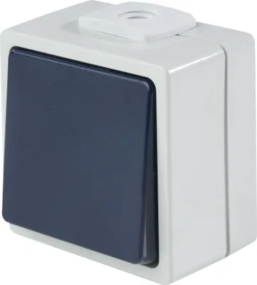 Produktbild von as-Schwabe Aufputzschalter Taster Wechsler 2 Leitungseinführungen 230V 10A IP54