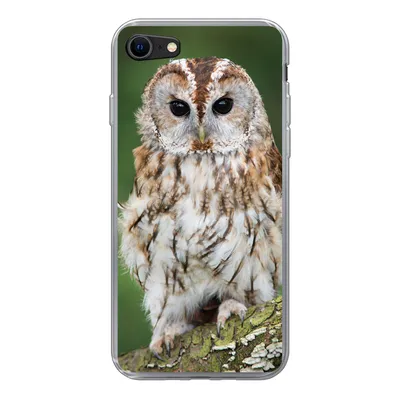 Produktbild von MuchoWow® Handyhülle Schutzhülle Hülle für iPhone 8 Braune Eule sitzt auf einem Baum Silikon Softcase Handy Hülle - Schutzhaube