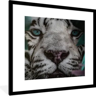Produktbild von MuchoWow® MuchoWow® Gerahmtes Poster Dschungel - Tiger - Schwarz - Weiß 40x40 cm - Poster mit zchwarzem Bilderrahmen - Poster - Plakat im Rahmen