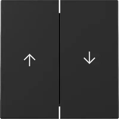 Produktbild von GIRA 3294005 Wippe 2f Pfeil System 55 Schwarz m