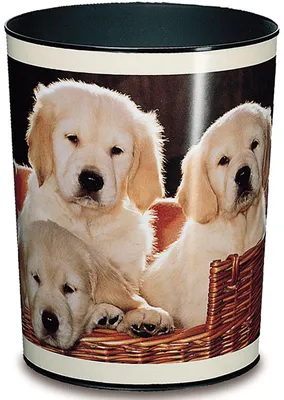 Obrázek produktu pro Laufer 26551, 13 l, Kulatý, Plast, Vícebarevný, 24,5 cm, 300 mm