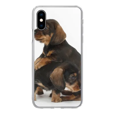 Produktbild von MuchoWow® Handyhülle Schutzhülle Hülle für iPhone X Studiofoto von zwei süßen Dackeln Silikon Softcase Handy Hülle - Handyhülle