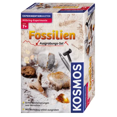 Produktbild von Fossilien