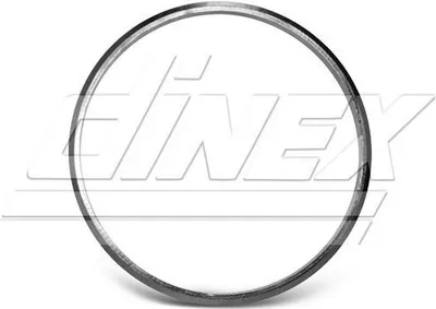 Produktbild von DINEX 6LL002 Auspuffdichtung Auspuffdichtung für SCANIA L,P,G,R,S - series Graphit