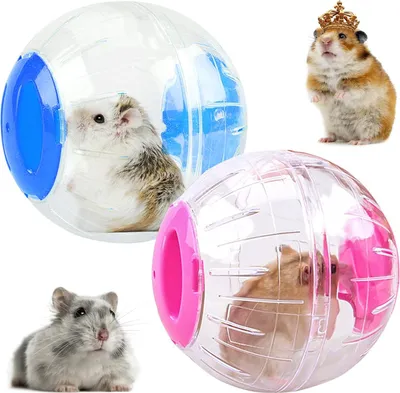 Produktbild von Transparente Hamster Laufkugel - Hamster Gymnastikball für Übungen