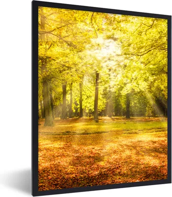 Produktbild von MuchoWow® Gerahmtes Poster Baum - Natur - Sonne - Landschaft - Wald 60x80 cm - Poster mit Schwarzem Bilderrahmen Wandposter Rahmen Foto Bilder - Premium - Wanddeko Wohnzimmer