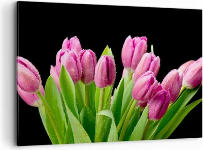 Produktbild von Bild auf Leinwand - Leinwandbild - Tulpen Blumenstrauß Tau Tropfen - 100x70cm - Wand Bild - Wanddeko - Leinwanddruck - Bilder - Kunstdruck - Leinwand bilder - Wandkunst - AA100x70-2486