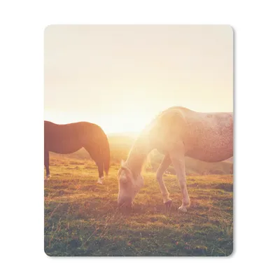 Produktbild von MuchoWow® Mauspad Mousepad Pferde - Sonne - Tiere 30x40 cm - Mousepads - Maus Mat - Pad - Mausunterlage - Mausmatten