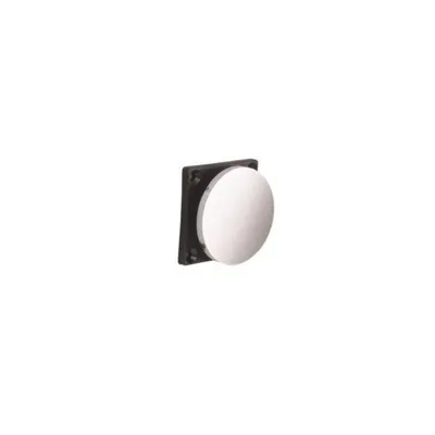 Productafbeelding van Hekatron Ankerplaat, diameter 65 mm, type ASS 65, artikelnummer 500 024