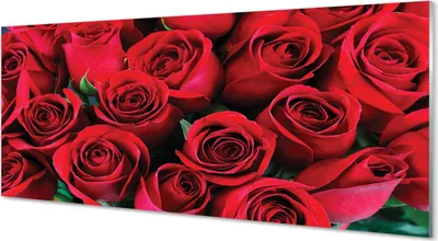 Produktbild von Glasbilder 125x50 Wandkunst Rosen