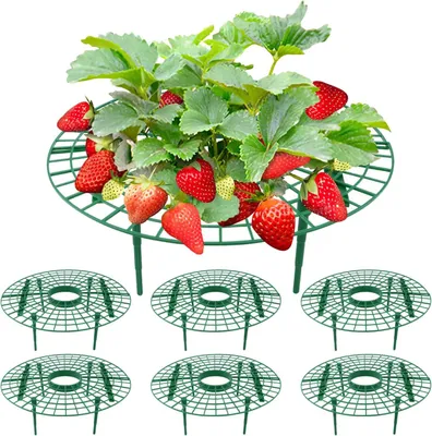 Produktbild von Pflanzenhalter für Erdbeeren, 6 Stück, 30 × 10 cm, wiederverwendbar, für den Garten