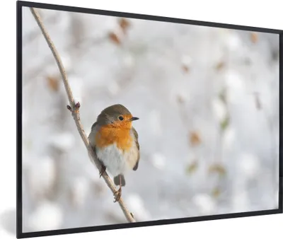 Produktbild von MuchoWow® MuchoWow® Gerahmtes Poster Vogel - Rotkehlchen - Winter 60x40 cm - Poster mit zchwarzem Bilderrahmen - Printing - Wanddeko Schlafzimmer