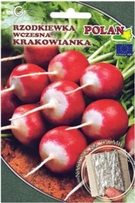 Produktbild von Radieschen Krakowianka am Band 260 Samen