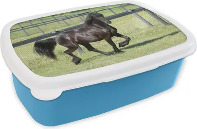 Produktbild von KitchenYeah® Lunchbox Brotzeit Brotdose 17x11 cm Friesisches Pferd im Galopp Kinder Brotzeitdose - Lunch - Kunststoff  - Brotbüchse - Sandwichbox - Lunchbox für Kinder