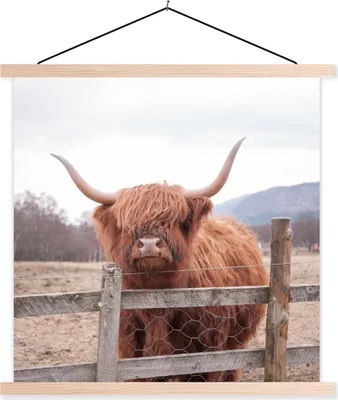 Produktbild von MuchoWow® Textilposter Scottish Hochlandrind - Gras - Zaun 40x40 cm mit holzfarbenen Rahmen - Posterleiste
