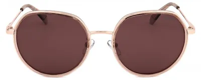 Immagine prodotto di Polaroid Mod. Pld 4160 G S X Gold Copper