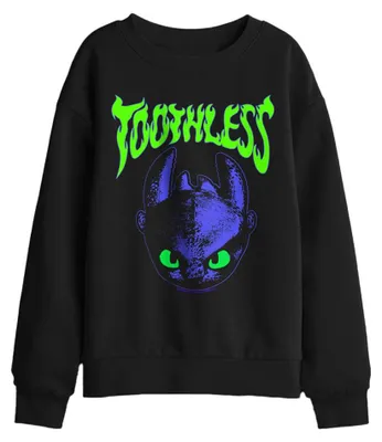 Productafbeelding van How to Train Your Dragon - Sweater voor kinderen, model TV44163 (maat 116) (zwart)