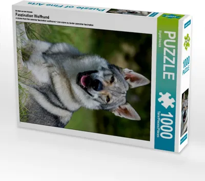 Produktbild von Calvendo Ein Motiv aus dem Kalender Faszination Wolfhund 1000 Teile Puzzle hoch 480x640mm, Starick Sigrid; 7355546